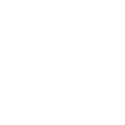 logo-TikTok-Marketing-partner-blanco