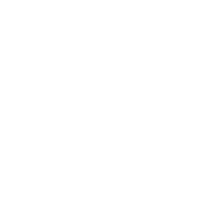 logo-google-partner-white300x300