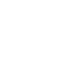 logo-instagram-partner-blanco-02